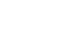 Vavity Icon